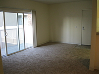 Photo41635